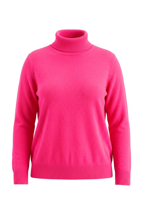 Roll-Neck Long Sleeve Sweater