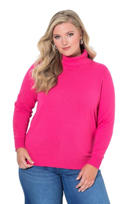 Roll-Neck Long Sleeve Sweater